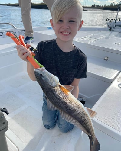 Full Day Inshore - 26' Skeeter In Charleston