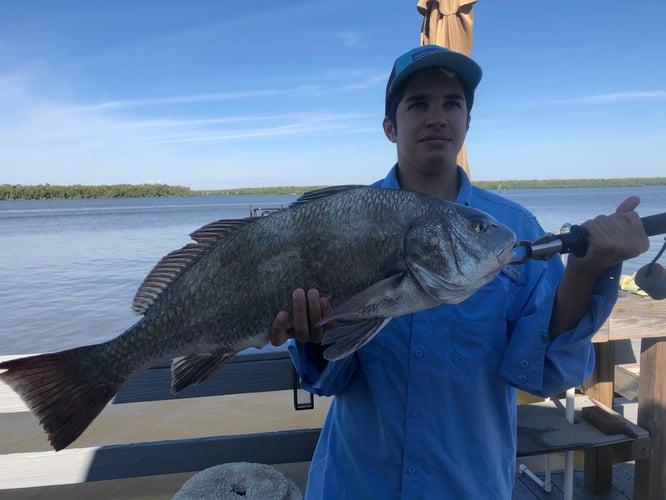 Everglades Slam (US Vet) In Chokoloskee