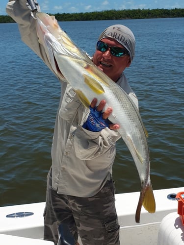 Everglades Slam (US Vet) In Chokoloskee