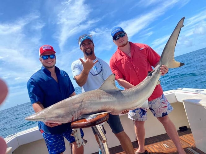 Quick Offshore Special In Port Aransas