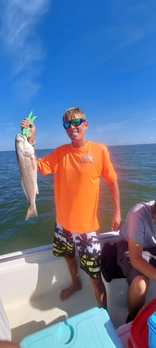 Big Ole Reds, Snook, & Trout In Crystal River