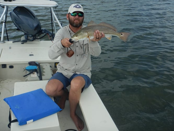 Sight Casting Safari In Rockport