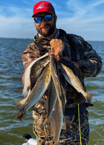 Redfish, Trout, and Flounder in the Galveston Bay Complex