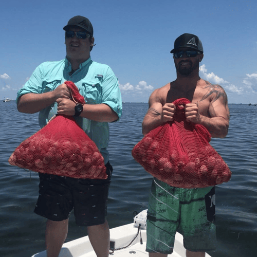 Crystal Coast Scalloping Adventure In Crystal River