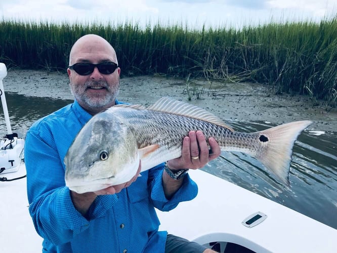Inshore saltwater charters in Mount Pleasant