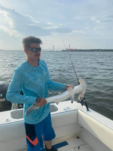 Sharks/Redfish In Charleston Harbor In Mount Pleasant