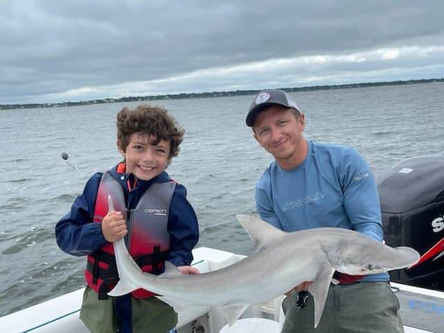 Sharks in Charleston Harbor