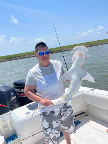 Sharks/Redfish In Charleston Harbor In Mount Pleasant