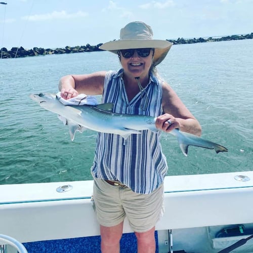 Sharks/Redfish In Charleston Harbor In Mount Pleasant