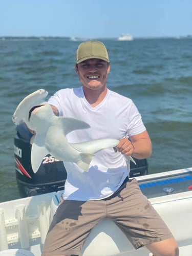 Sharks/Redfish In Charleston Harbor In Mount Pleasant