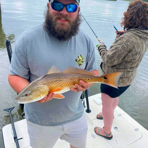 Low Country Inshore Slam In Mount Pleasant