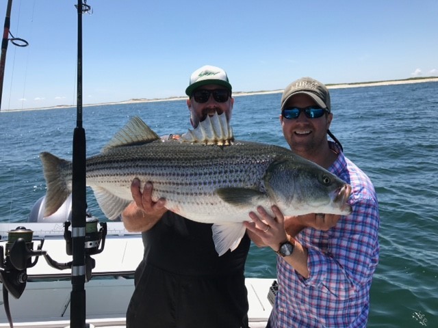 Fall Striper - 33’ Grady White In Chatham