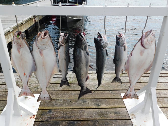 Ketchikan Multi-Day Fishing In Ketchikan