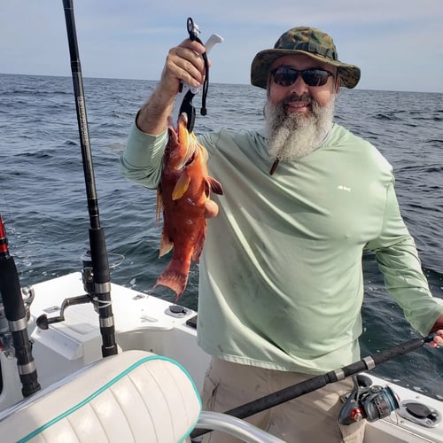 Sheepshead Special - 35' Donzi In Steinhatchee