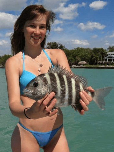 Sheepshead Special - 35' Donzi In Steinhatchee