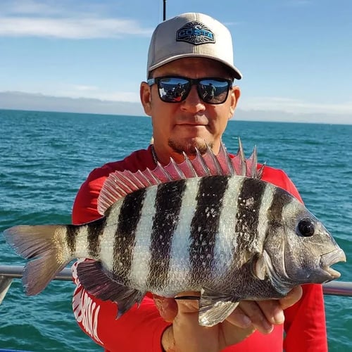 Sheepshead Special - 35' Donzi In Steinhatchee