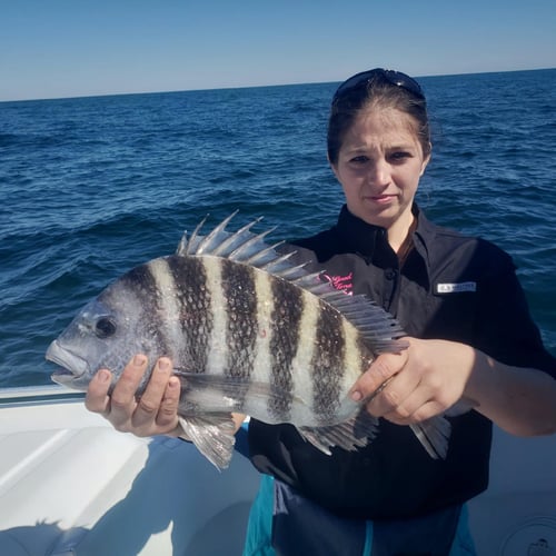 Sheepshead Special - 35' Donzi In Steinhatchee