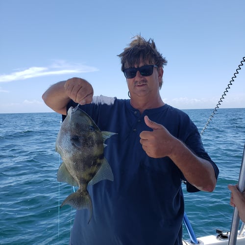 Sheepshead Special - 35' Donzi In Steinhatchee