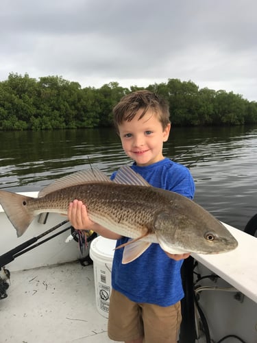 Bradenton Classic Inshore In Bradenton