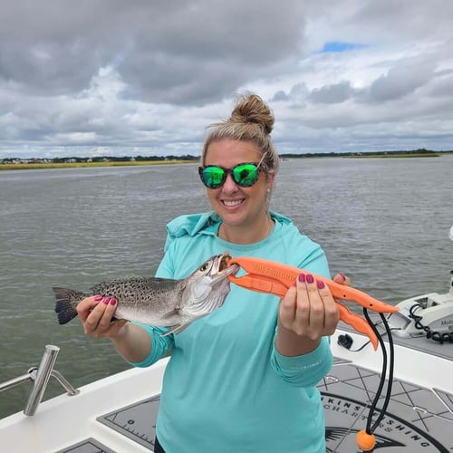 Low Country Exploration Trip in Folly Beach