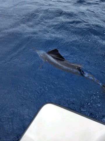 Keys Fishing Adventure In Tavernier