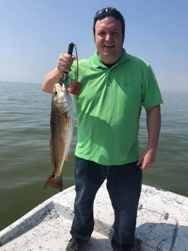 East/West Matagorda Bay in Bay City