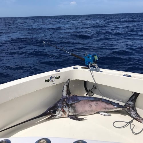 Swordfish Special - 41’ Hatteras In Key Biscayne