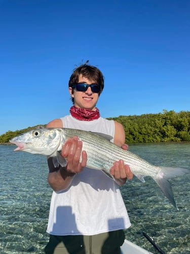 Bonefishing the Bahamas