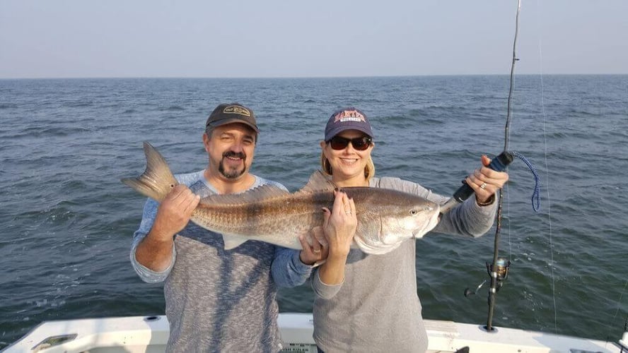 Folly Beach In-Shore - 20' Proline in Folly Beach
