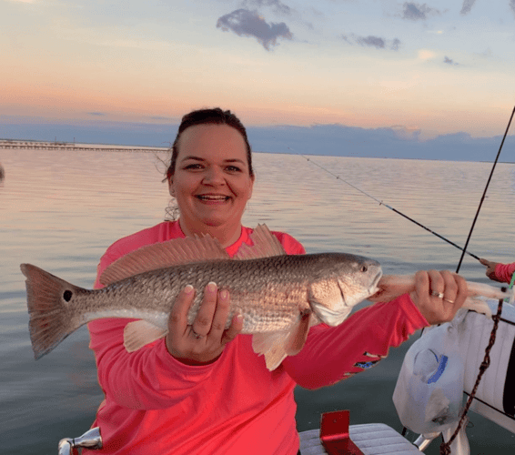 Coastal Bend Dusk Assault In Aransas Pass