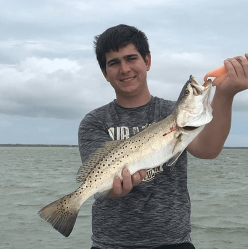 Speckled Trout Trip