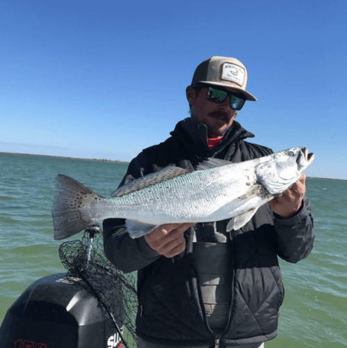 Coastal Bend Dusk Assault In Aransas Pass