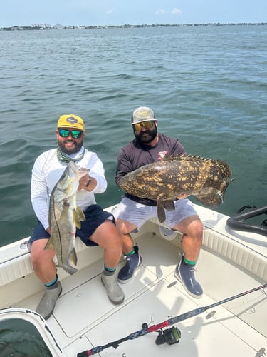 Tampa Bay Big Fish Special In Holmes Beach