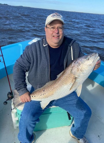 Bull Reds & More on the GA Coast in Darien