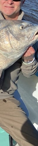 Bull Reds & More on the GA Coast in Darien