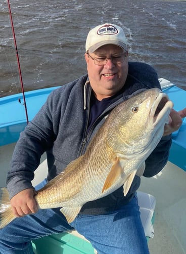 Bull Reds & More On The GA Coast In Darien