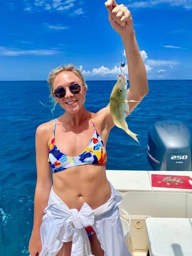 Spanish Wells Reef Fishing in Spanish Wells