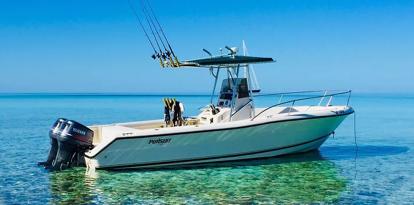 Spanish Wells Reef Fishing in Spanish Wells