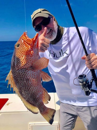 Spanish Wells Reef Fishing in Spanish Wells