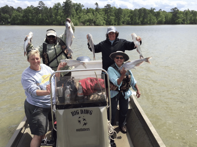 Full-Day Fishing Trip - Lake Livingston