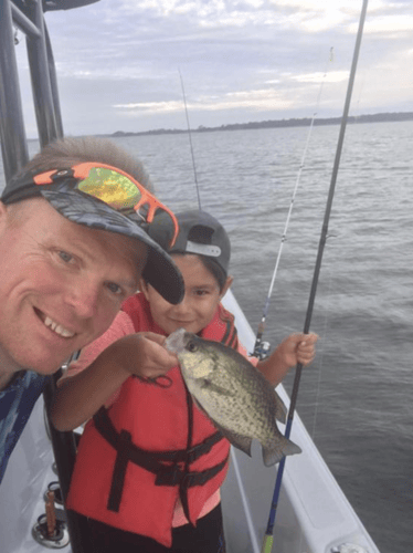 Full-Day on Toledo Bend in Etoile