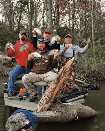 Full-Day on Toledo Bend in Etoile