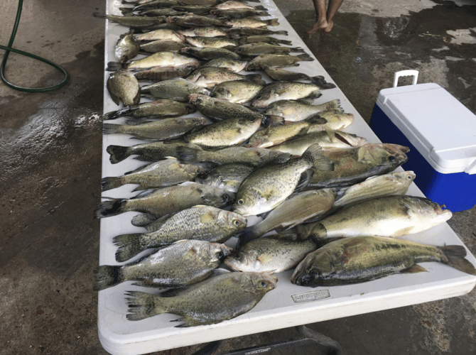 Full-Day on Toledo Bend in Etoile