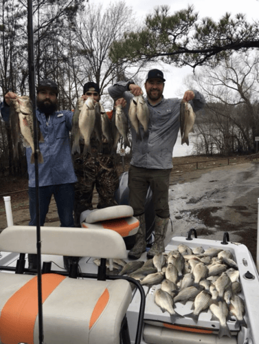 Full-Day on Toledo Bend in Etoile