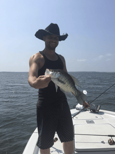 Full-Day on Toledo Bend in Etoile