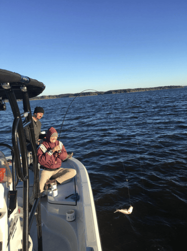 Full-Day on Toledo Bend in Etoile