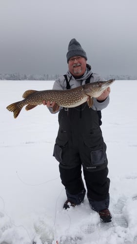 Lake Houghton Ice Fishing In Roscommon