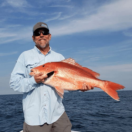 State Snapper Trip In Gulf Shores
