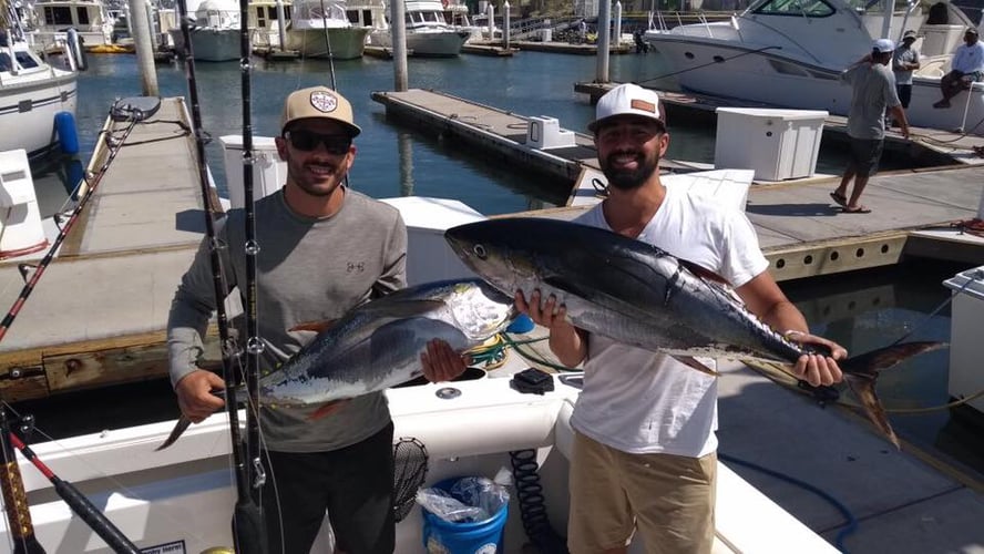 Deep Sea Cabo - 36' Cabo Express In Cabo San Lucas