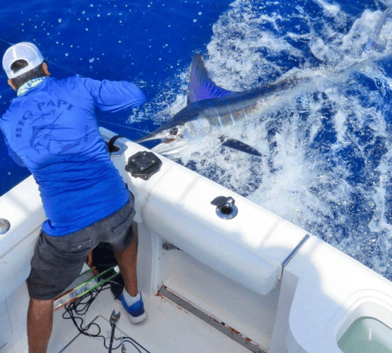 Deep Sea Cabo - 36' Cabo Express In Cabo San Lucas